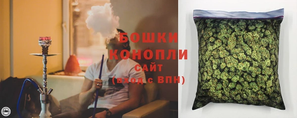 mdpv Богданович
