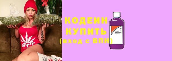 гашик Богородск