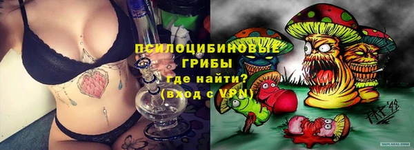 mdpv Богданович