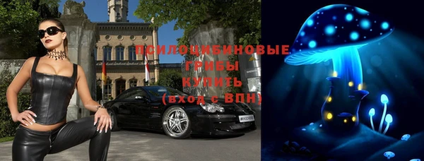 mdpv Богданович